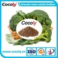 Cocoly microbial fertilizer water-soluble brown granular fertilizer