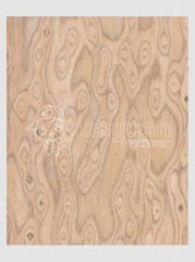 Engineered veneer cat eyes veneer furniture face veneer fine line