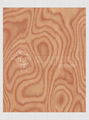 Burl recon veneer recomposed veneer face veneer 5