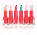Customized OEM Makeup magic lipstick change color waterproof lipstick with gold  3