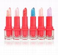 Customized OEM Makeup magic lipstick change color waterproof lipstick with gold 