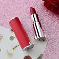 OEM Luxury leather Tube Private Label Lipstick  2