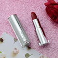 OEM Luxury diamondTube Private Label Lipstick  1