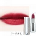 OEM Luxury diamondTube Private Label Lipstick  3