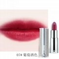 OEM Luxury diamondTube Private Label Lipstick  4