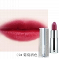 OEM Luxury diamondTube Private Label Lipstick 