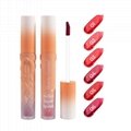 Velvet Matte Texture Lip Gloss Cream Mousse Lip Mud Cute Lipstick Makeup