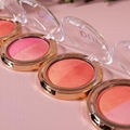 Professional Face Cosmetics 2 colors Matte Blush Palette Private Label