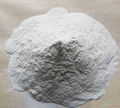 Hydroxypropyl Methyl Cellulose