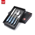 Set Stainless Steel Flatware 4Pcs Blue Pointed Resin handle Set Flatware 2