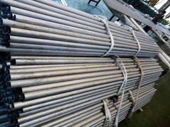 SA 268 Tp446 Stainless Steel Seamless Tubing