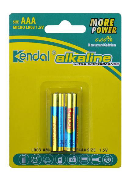 1.5V Lr03 AAA AM4 Alkaline Battery 4