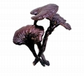Ganoderma Lucidum Extract 1
