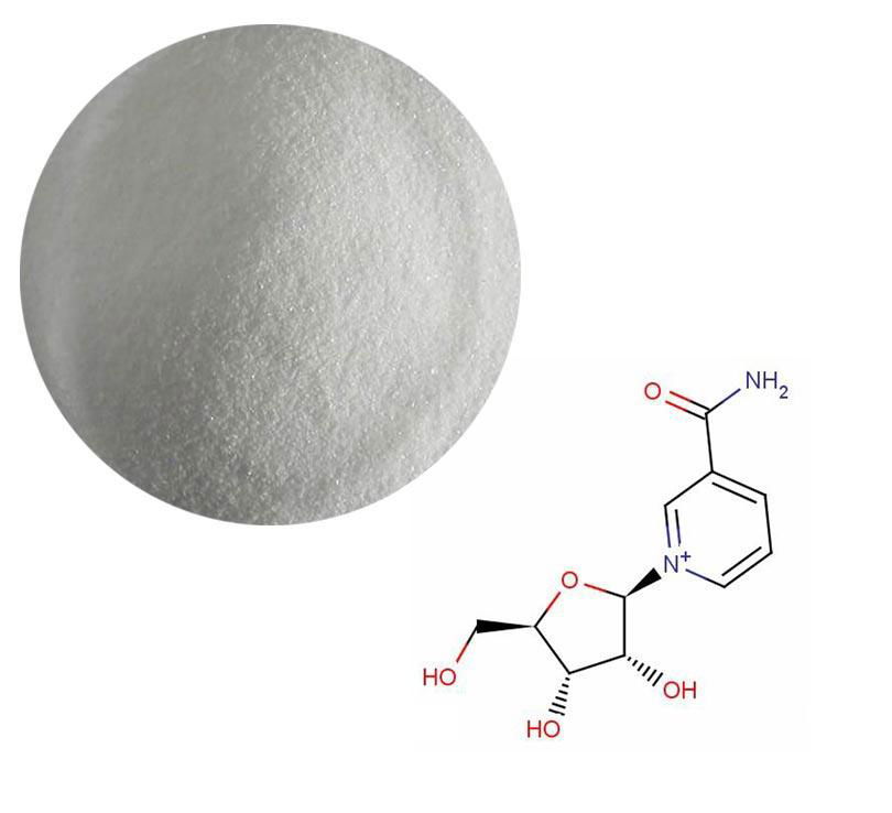 NAD Source: Enzymatic Process