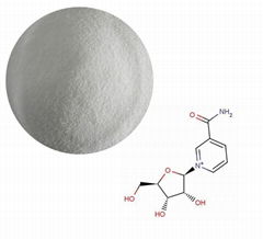 NAD Source: Enzymatic Process