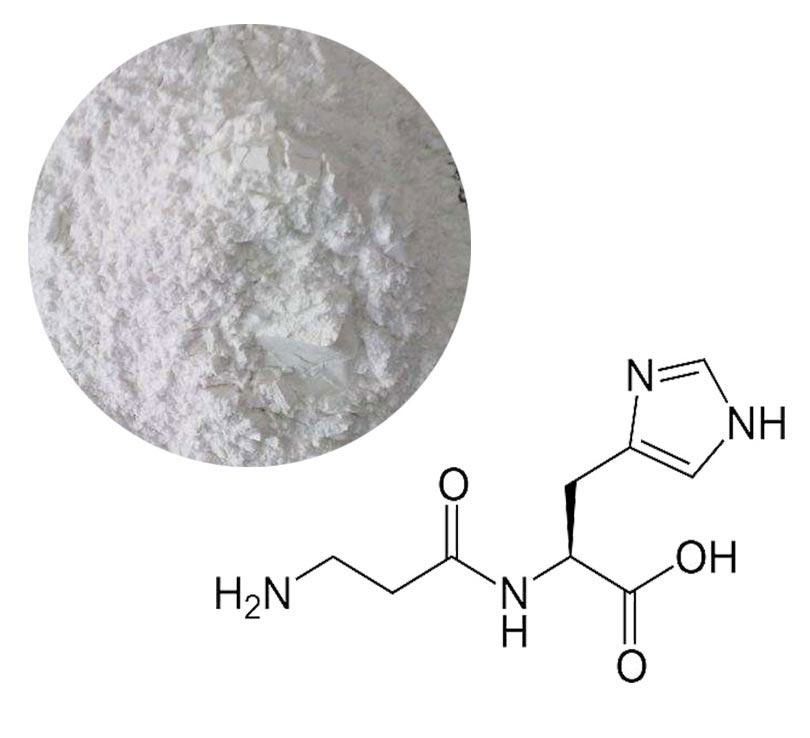 NAD Source: Enzymatic Process 2