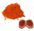 Water-soluble annatto  2