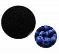 Bilberry extract powder 3