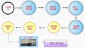 半导体LCD零件精密清洗 2