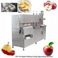 YDA-1200 Full Automatic Apple Peeling Coring-Separating Machine