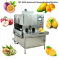 YDA-1200 Full Automatic Apple Peeling Coring-Separating Machine 3