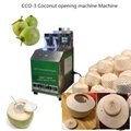 CCN-3 Coconut Shelling Machine CCO-3 Coconut opening machine Machine 3