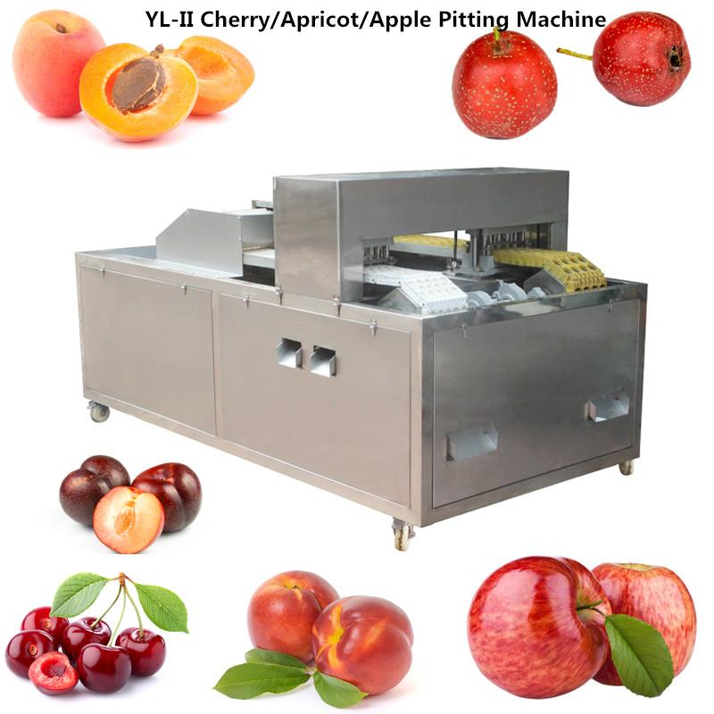 YL-II Apricot Cherry Coring Machine 2