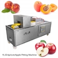 YL-II Apricot Cherry Coring Machine 1