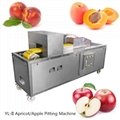 YL-II Apricot Cherry Coring Machine