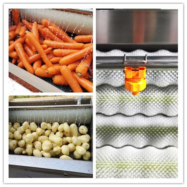 YDPL-600C Friction Root Vegetable Washing Peeling Machine 5