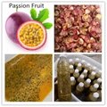 YDPG-1000 Pomegranate Passion Fruit Seeding Machine 3