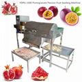 YDPG-1000 Pomegranate Passion Fruit Seeding Machine 1