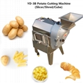 YD-801 Double Inlet Vegetable Cutting Machine 1