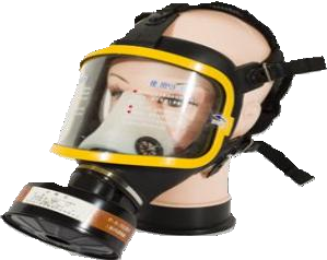 Gas Face Mask