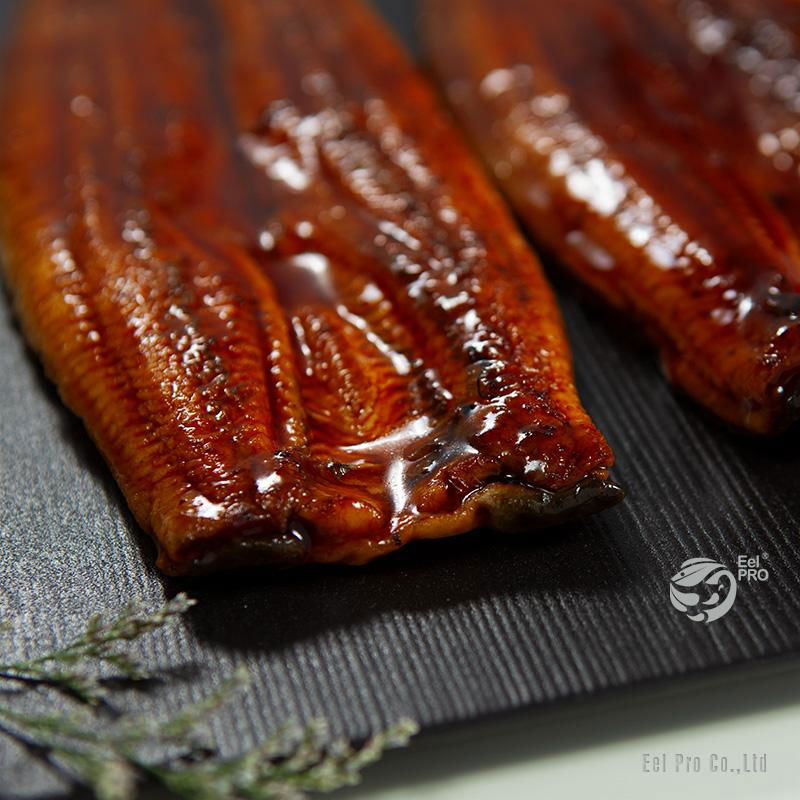 Frozen Prepared Eel 5