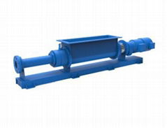 Cavity Pump