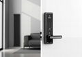 Electronic smart door lock BABA 8200 swipe card door lock knob 3