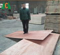 China HOT Sale 18mm Okoume Plywood BB/CC Grade 5