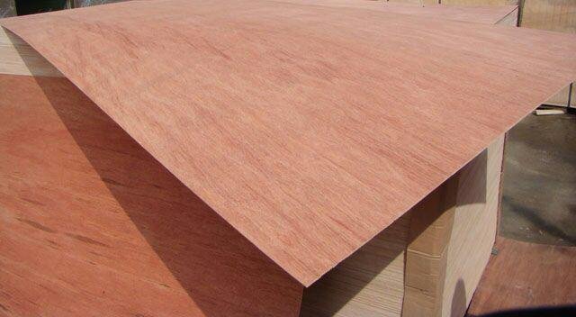 Wholesale Bintangor Plywood for Package 