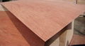 Wholesale Bintangor Plywood for Package  1