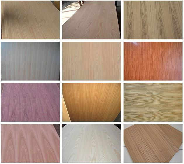 High quality Fancy plywood for funiture board  5