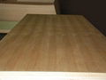 High quality Fancy plywood for funiture board 