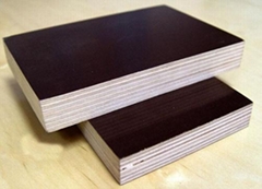 Black and Brown Film Face Plywood for Construction