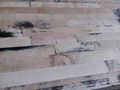 Cheapest price Recycled film faced plywood 4