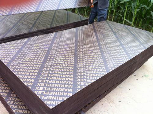 F17 Film Face Plywood Formwork Plywood Panel as Nzs 6669 4