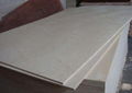 High quality birch plywood for furniture board