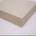 High quality birch plywood for furniture board 2