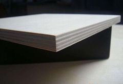 High quality birch plywood for furniture board