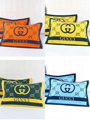 Winter Plush blanket covers support customized wholesale