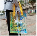 Gift bag,shopping bag,colorful packaging